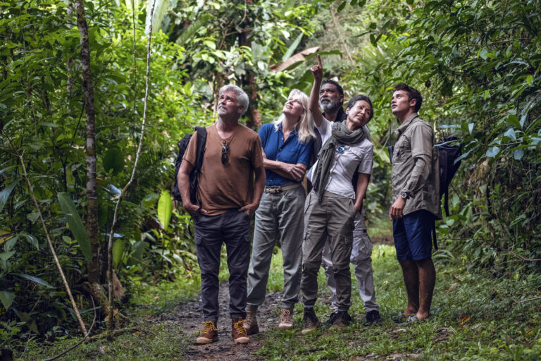 Plantation de Cacao geree par le peuple Kek'chi.