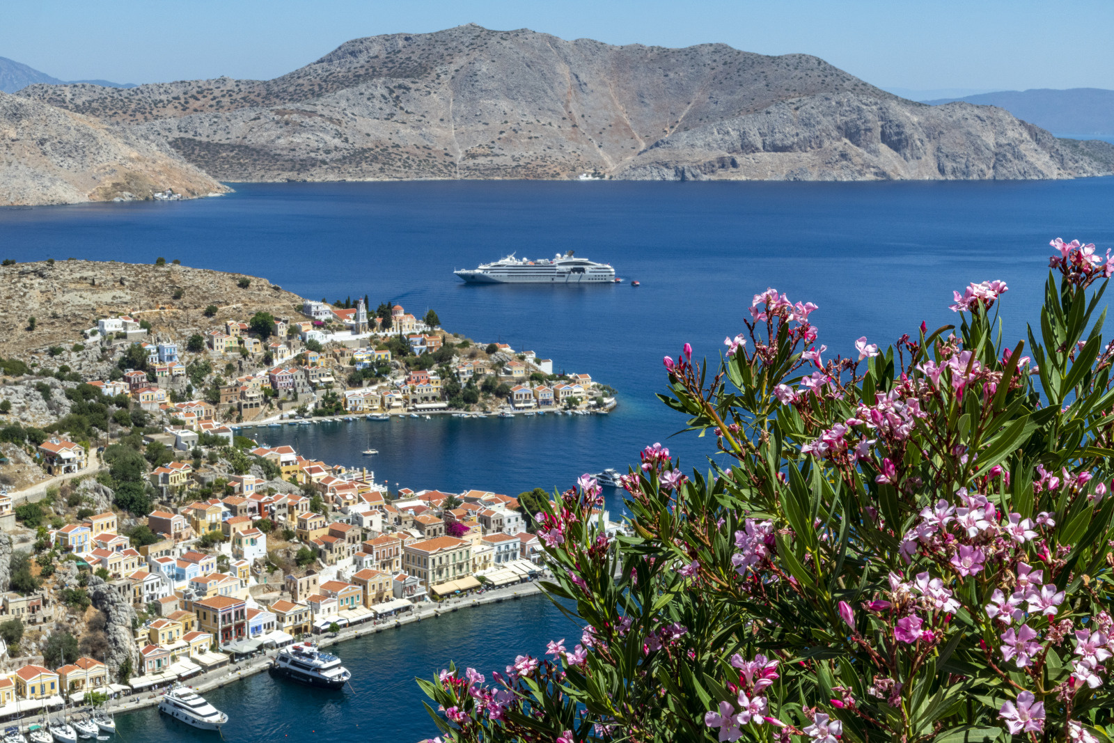 Mediterranean